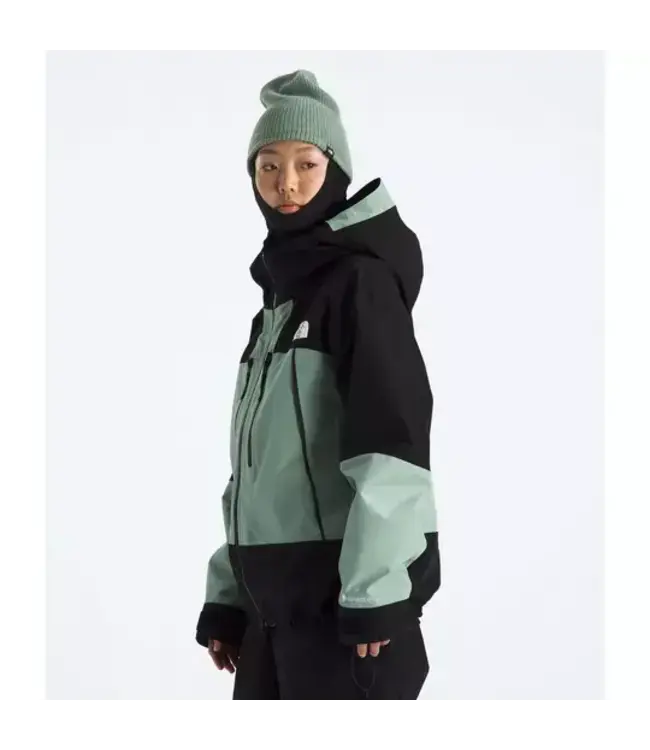 The North Face JACKET TNF GTX HEX W
