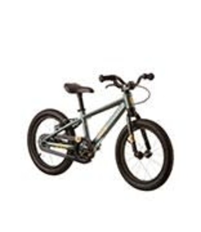 EVO BIKE EVO BEBOP 16