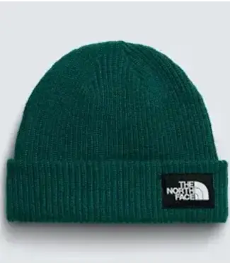 The North Face TNF SALTY LINED BEANIE GREEN