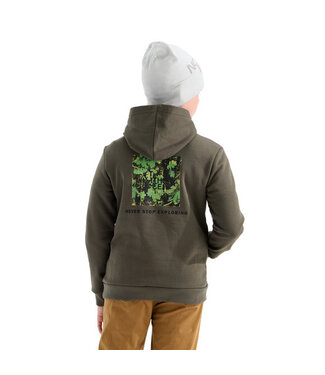 The North Face HOODIE TNF TEEN EVOLUTION BOX NSE PO