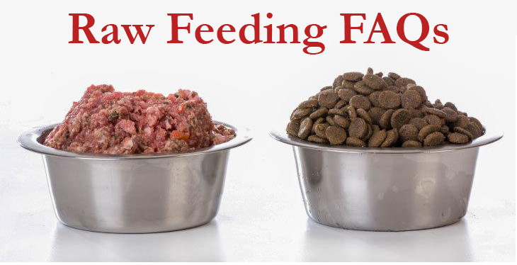 Raw Feeding FAQs