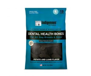 indigenous dental health bones
