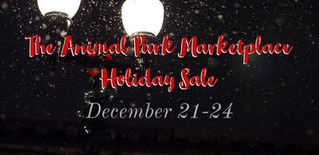 2020 Holiday Sale