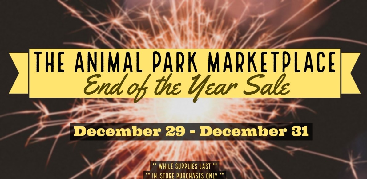2020 End of the Year Sale