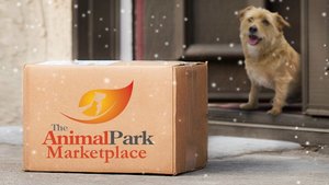Home Delivery & In-Store Pick Up Services FAQ Home Delivery & In-Store Pick Up Services FAQ