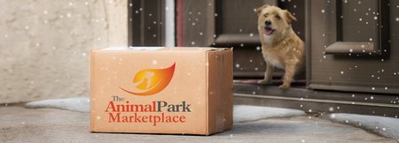 Home Delivery & In-Store Pick Up Services FAQ