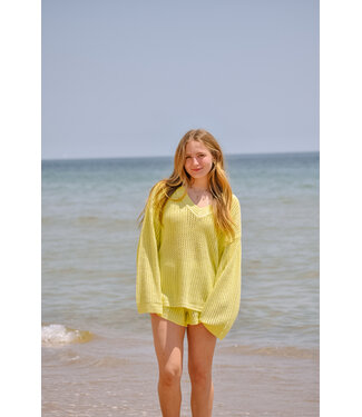 Z Supply Kiami Crochet Sweater
