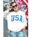 Z Supply USA Sunday Sweatshirt