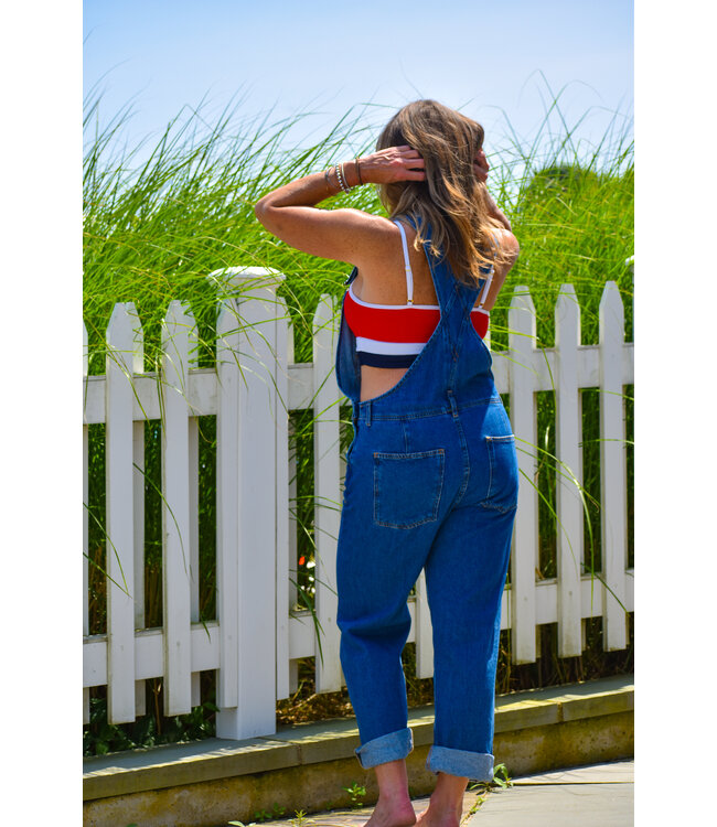 Ziggy Denim Overalls