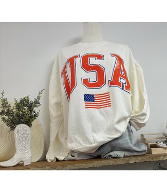 Z Supply Flag Sunday Sweatshirt