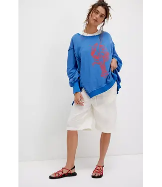 Free People Graphic Camden Pullover