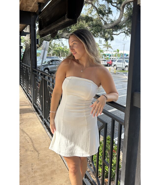 Gabriel Tube Mini Dress