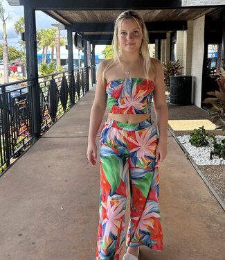 Z Supply Dante Villa Floral Pant