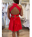 Charlie Mini Dress