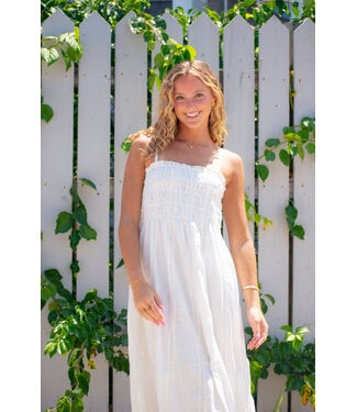 Z Supply Dani Embroidered Midi Dress