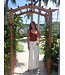 Ahead of the Curve Cami