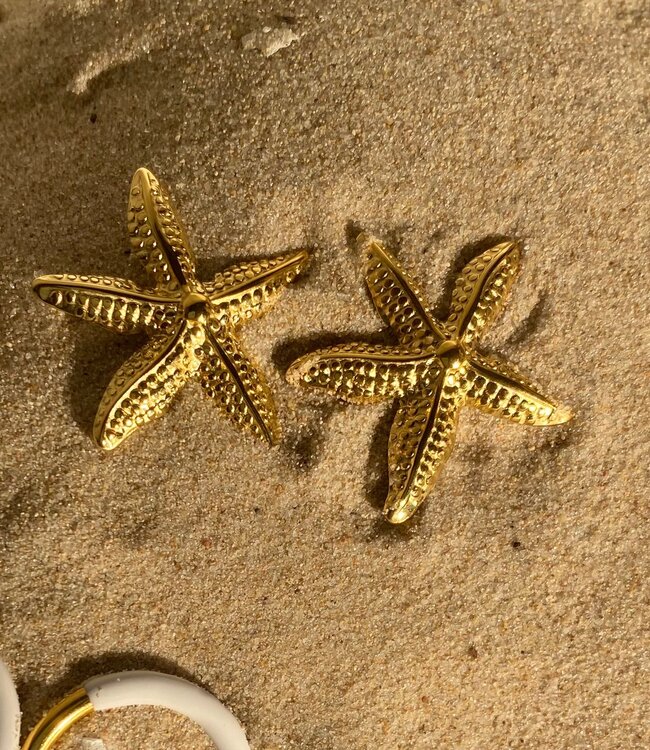 Sea Star Stud Earrings