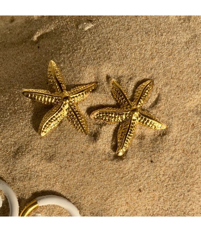 Sea Star Stud Earrings