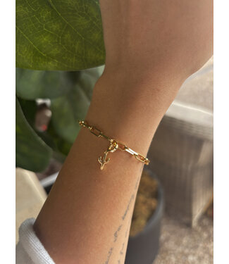 CAI Personal Charms