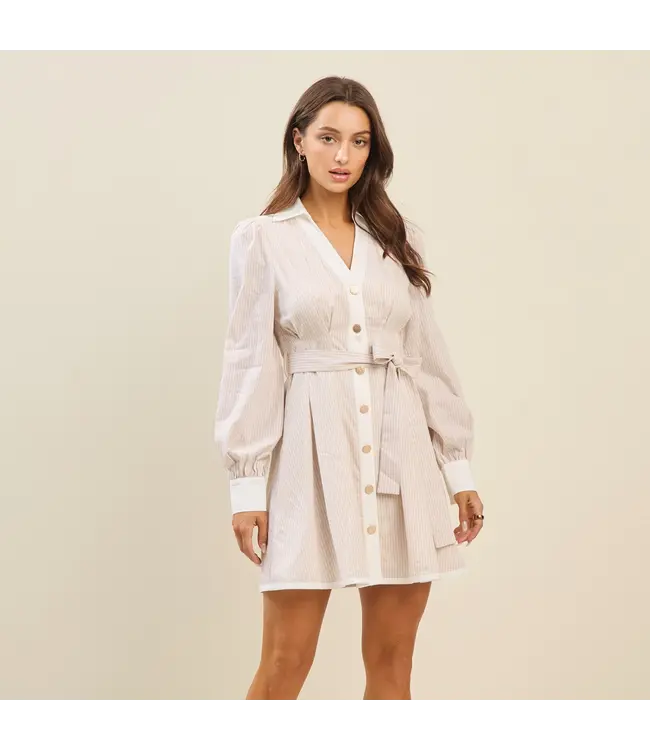 Elizabeth Button Down Dress