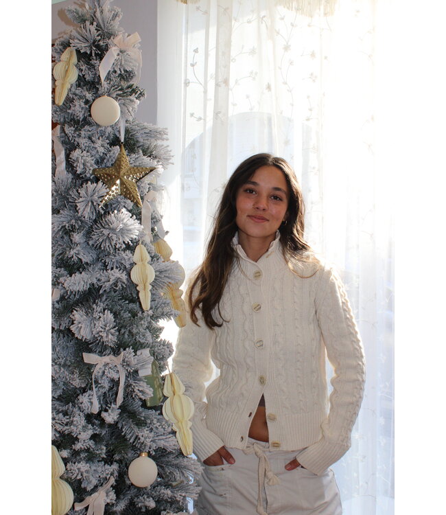 WTF Cable Collar Cardi