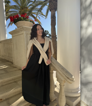 Z Supply Cornelia Poplin Midi Dress