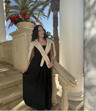 Z Supply Cornelia Poplin Midi Dress