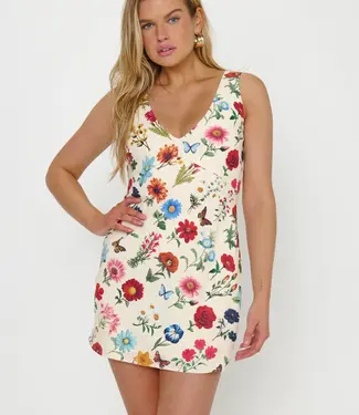 Show Me Your Mumu Emily Mini Dress
