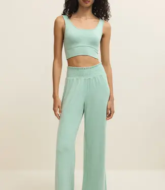 Z Supply Zoe Brushed Jersey Tank Bra