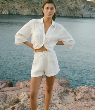 Z Supply Emory Short