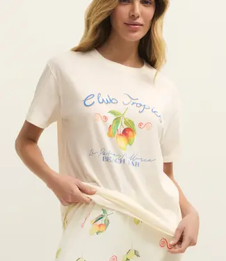 Z Supply Club Tropics Boyfriend Tee