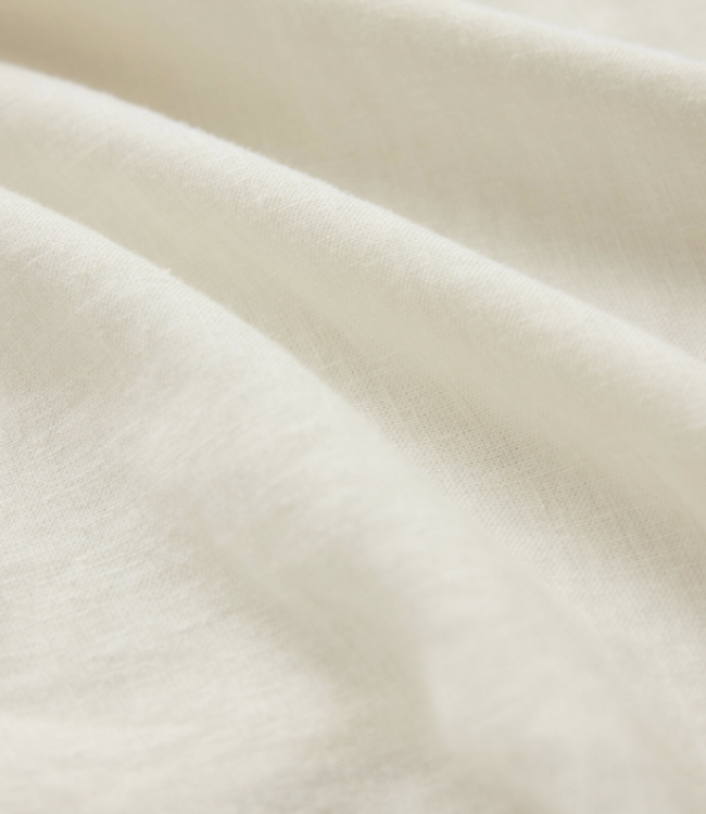 The Perfect Button Up