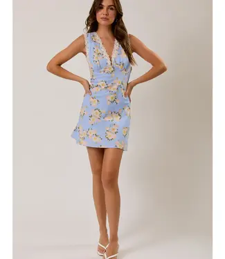 Blossoms Mini Dress