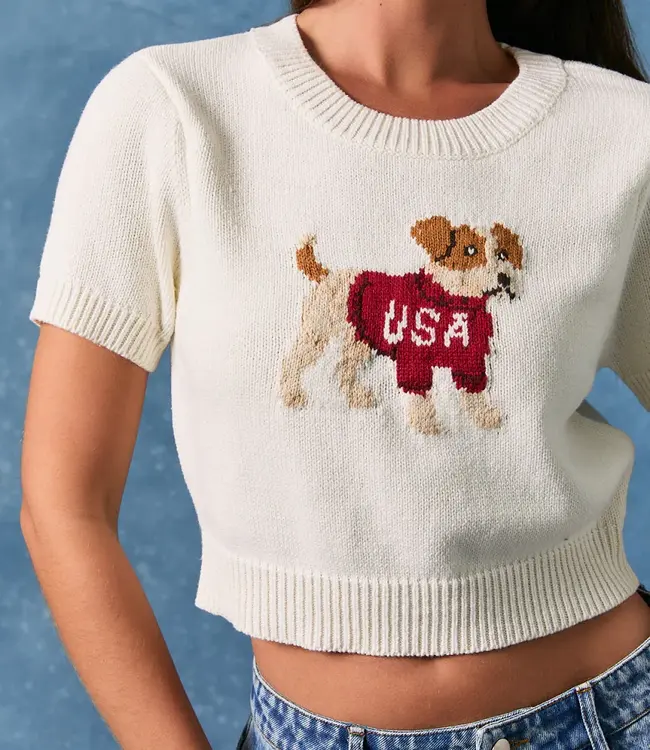 Puppy With USA Sweater