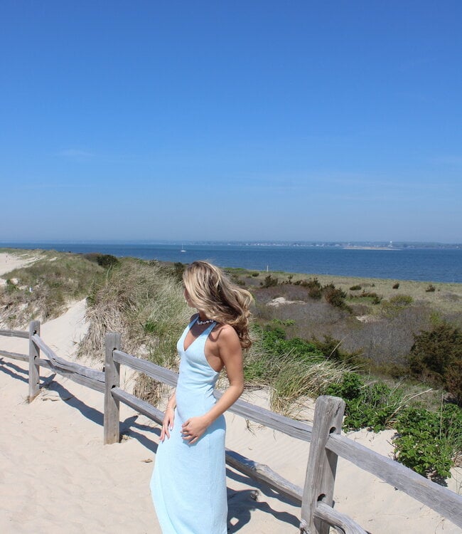 Larissa Shimmer Maxi Dress
