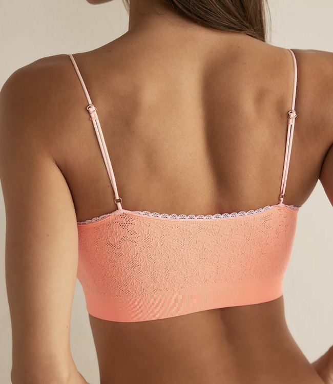Sweet Point Seamless Bralette