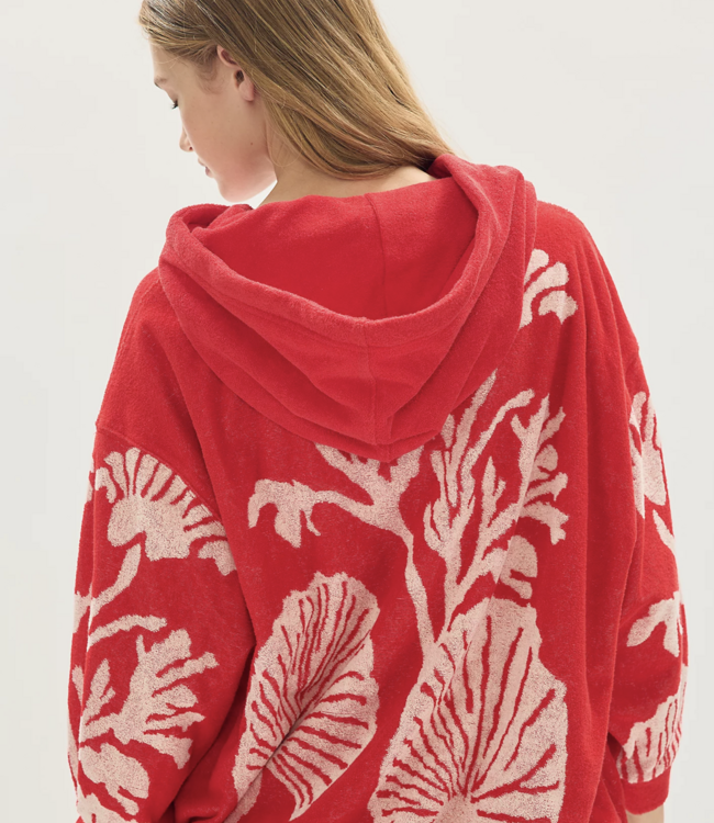 Shell Baby Hoodie