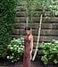 Ella Halter Maxi
