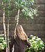 Free People Vagabond Suede Short