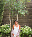 Eve Lace Tank