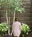 Sanborn Cardigan
