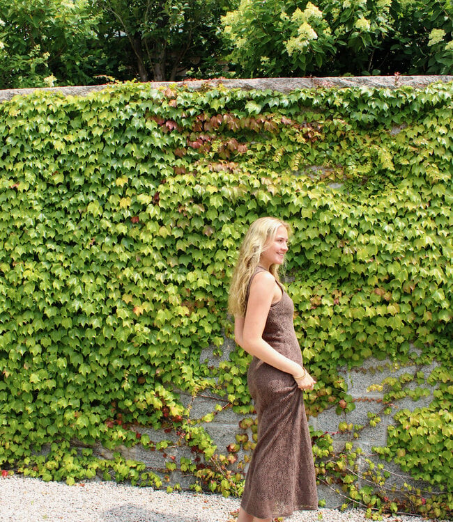 Claremont Midi Dress