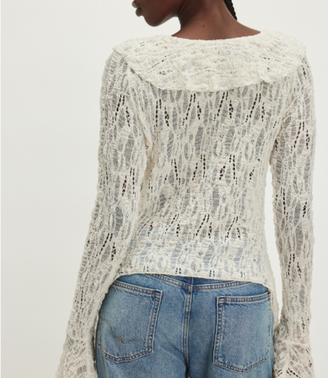 Laney Cardi