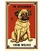 Ravi Zupa Dog Posters