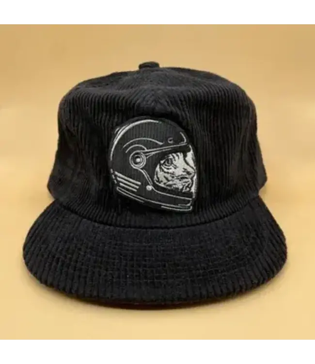 Kaitlin Ziesmer Hats