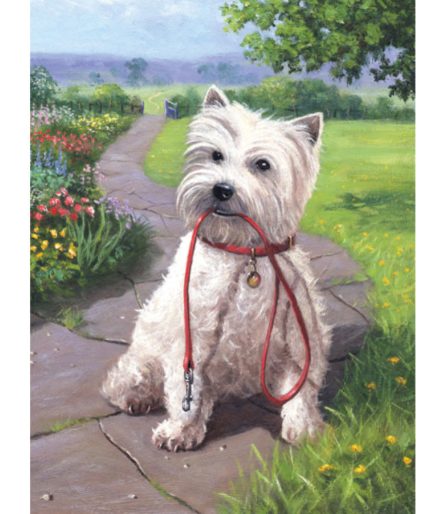 PBN JR SM Time for a Walk