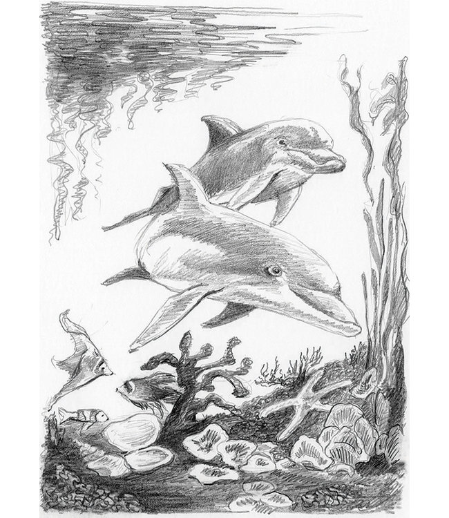 DOLPHINS MINI SKETCHING MADE E