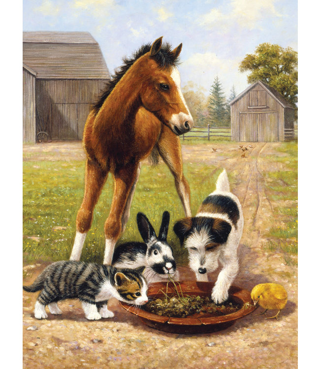 PBN Lunchtime With Friends