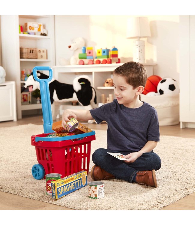Grocery Basket Play Set
