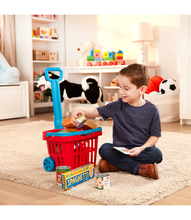 Grocery Basket Play Set